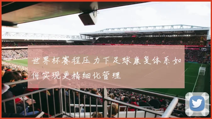 世界杯赛程压力下足球康复体系如何实现更精细化管理