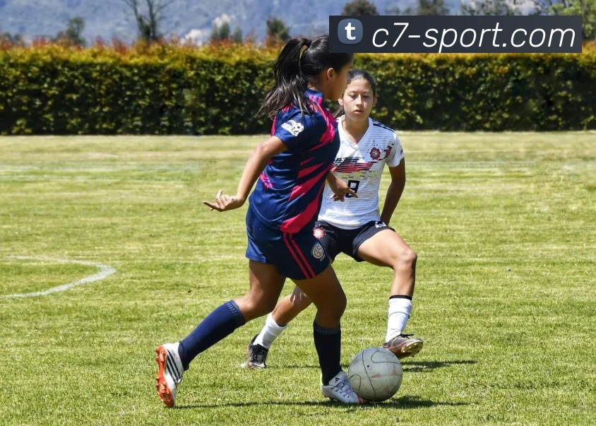 C7娱乐:引领数字化竞技内容传播与交互的新标准平台生态图